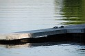 2907-005