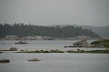 3007-008
