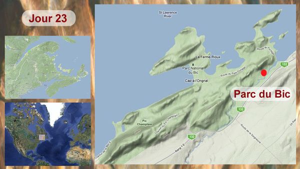Dingwall