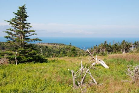 Cape Breton