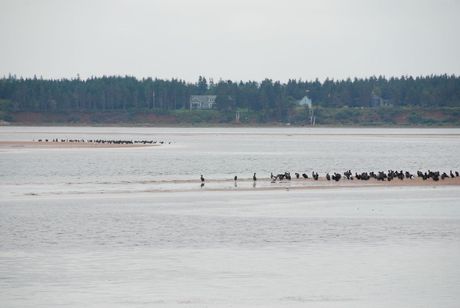 PEI