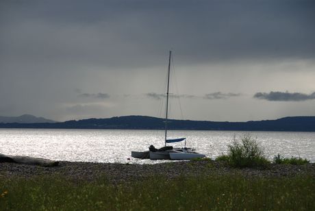 Carleton