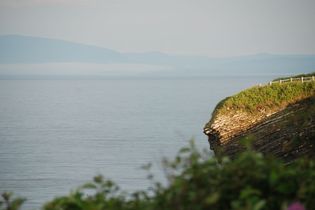 Forillon