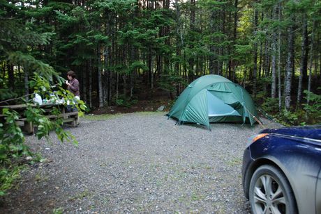 Gaspesie