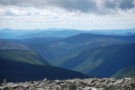 Gaspesie