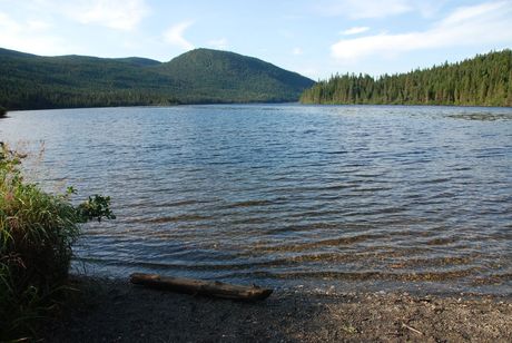Gaspesie