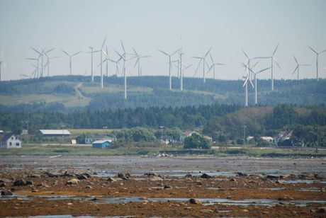 Gaspesie