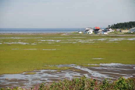 Gaspesie