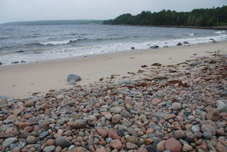 Martin's river