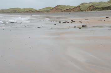White Strand