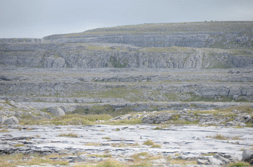 Burren
