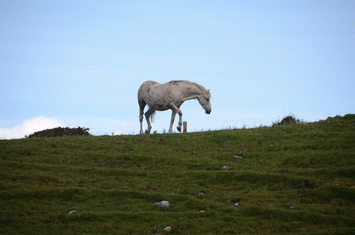 Burren