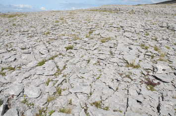 Burren