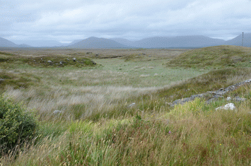 Connemara