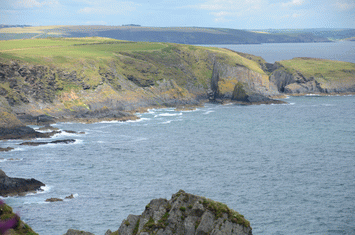 Old head