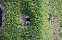 Irlande_J13_093