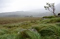 Irlande_J16_019