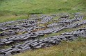 Irlande_J16_023