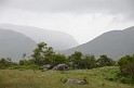 Irlande_J16_026