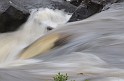 Irlande_J16_049