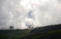 Irlande_J16_099