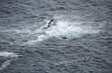 Irlande_J17_037