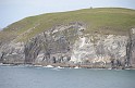 Irlande_J17_055