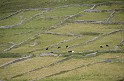 Irlande_J17_060