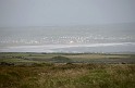 Irlande_J20_195