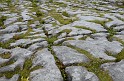 Irlande_J21_021
