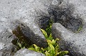 Irlande_J21_037