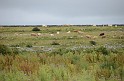 Irlande_J21_056