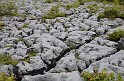 Irlande_J21_088