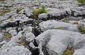 Irlande_J21_092
