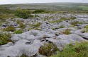Irlande_J21_119