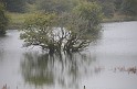 Irlande_J21_123