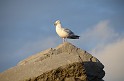 Irlande_J21_162