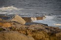 Irlande_J21_191