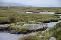 Irlande_J24_002