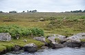 Irlande_J24_004