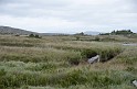Irlande_J24_007