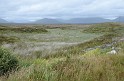 Irlande_J24_018