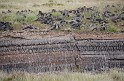 Irlande_J24_025
