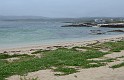 Irlande_J24_038