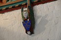 Irlande_J6_042