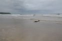 Irlande_J6_077