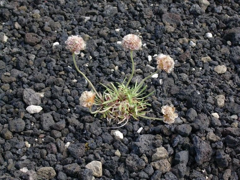 photo68.jpg