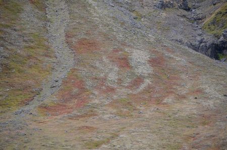 Haukadalur