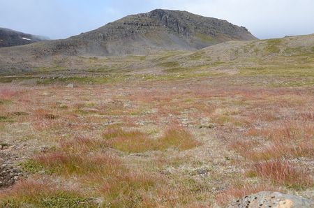 Ísafjörður