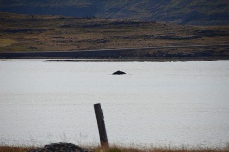 Ísafjörður